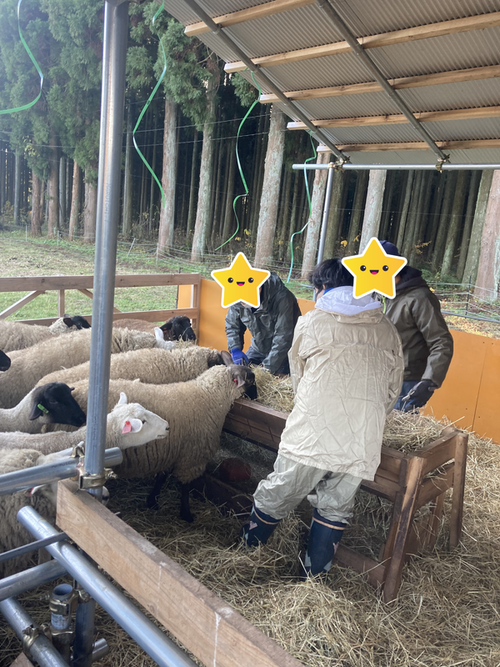 困難を抱える子ども・若者への支援事業