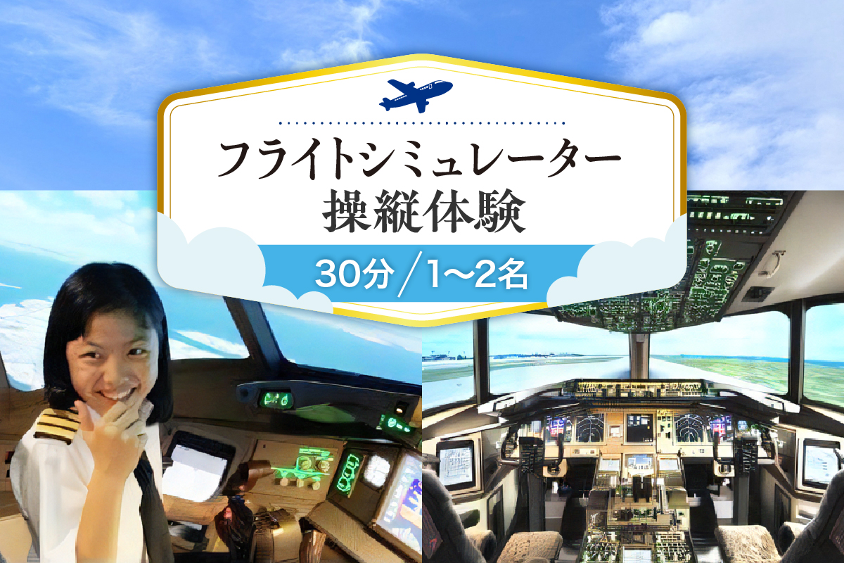 フライトシミュレーター操縦体験30分コース