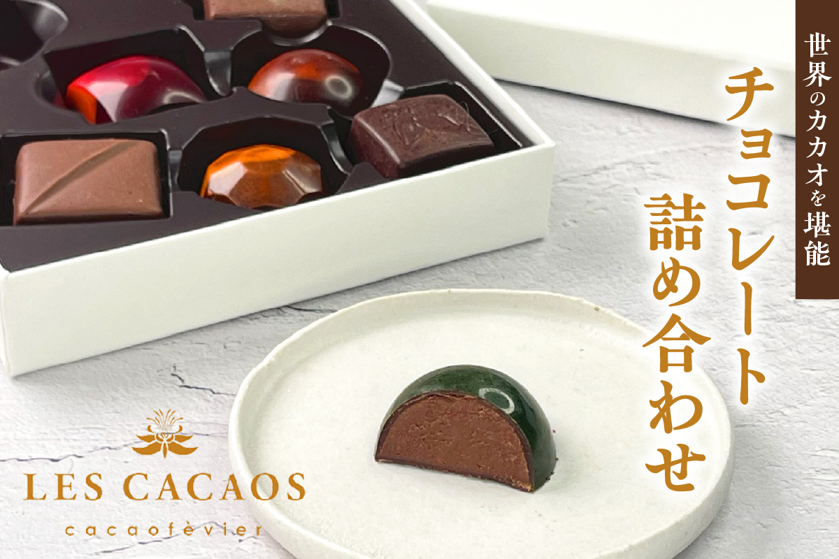 LES CACAOS　レ・カカオ　チョコレート詰め合わせ