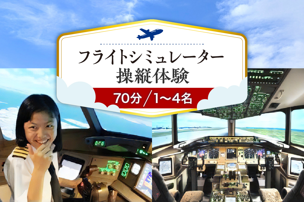 フライトシミュレーター操縦体験70分コース